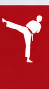 Taekwondo kicking silhouette